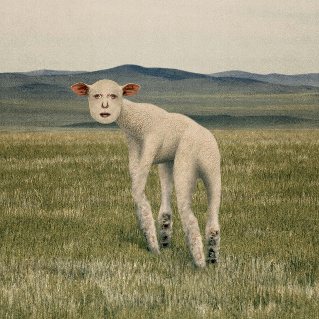 Animal by THORNAPPLE — album cover