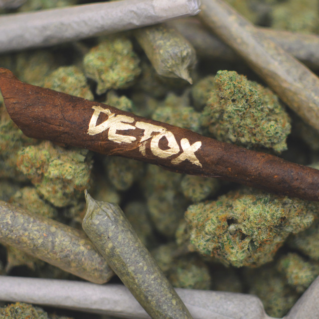 DETOX by BILL STAX — album cover