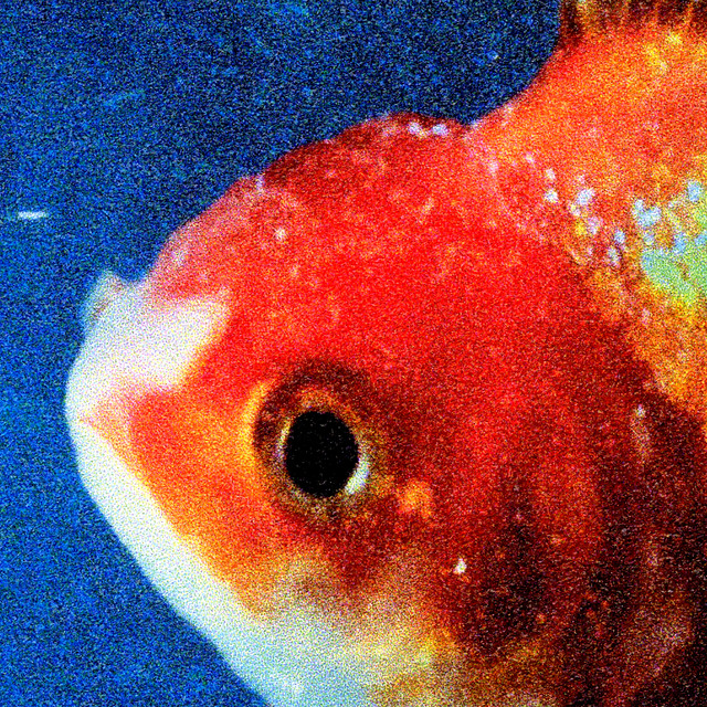 Big Fish Theory by Vince Staples — album cover